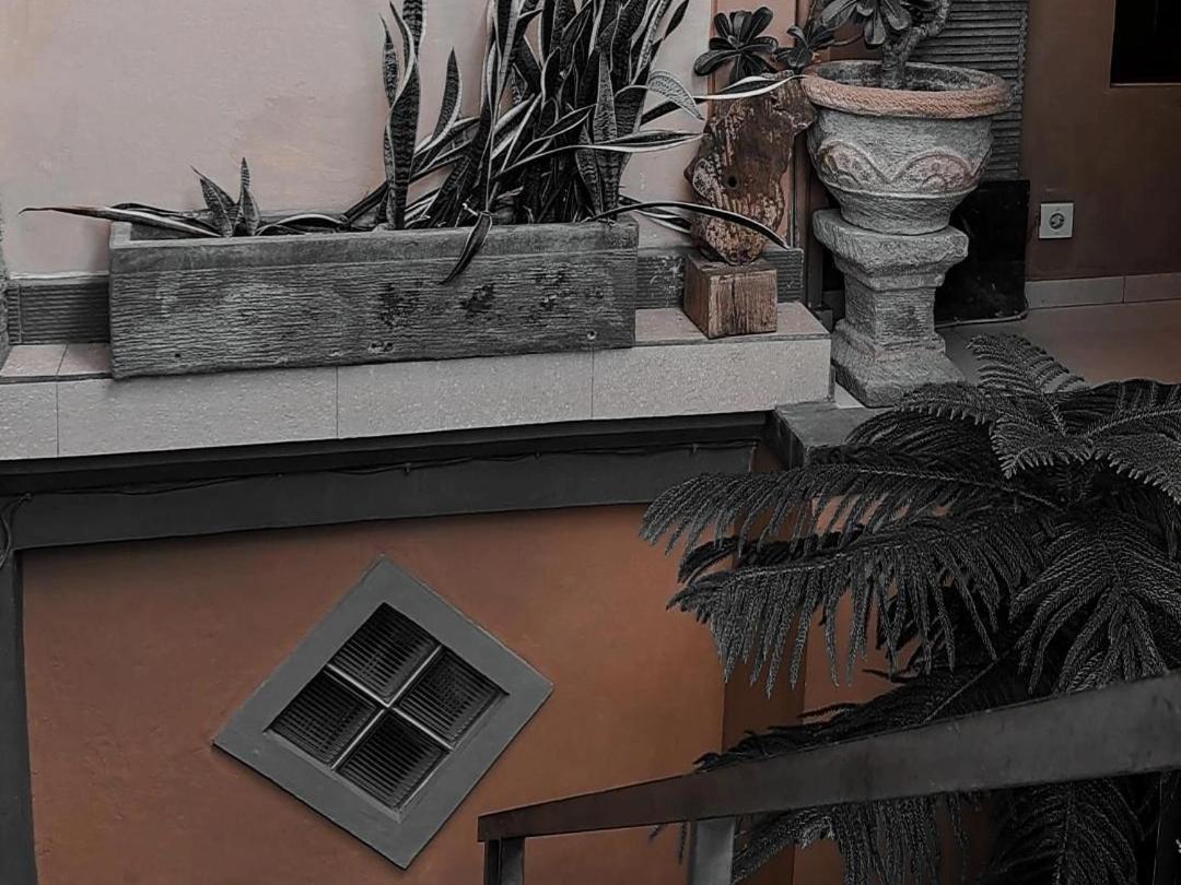 Adi House Homestay Ubud Exteriér fotografie
