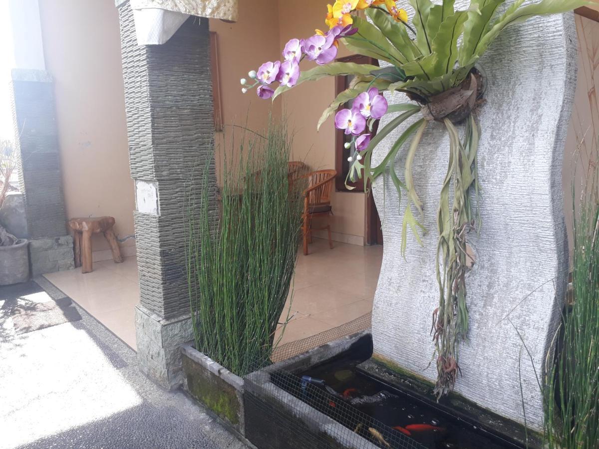 Adi House Homestay Ubud Exteriér fotografie